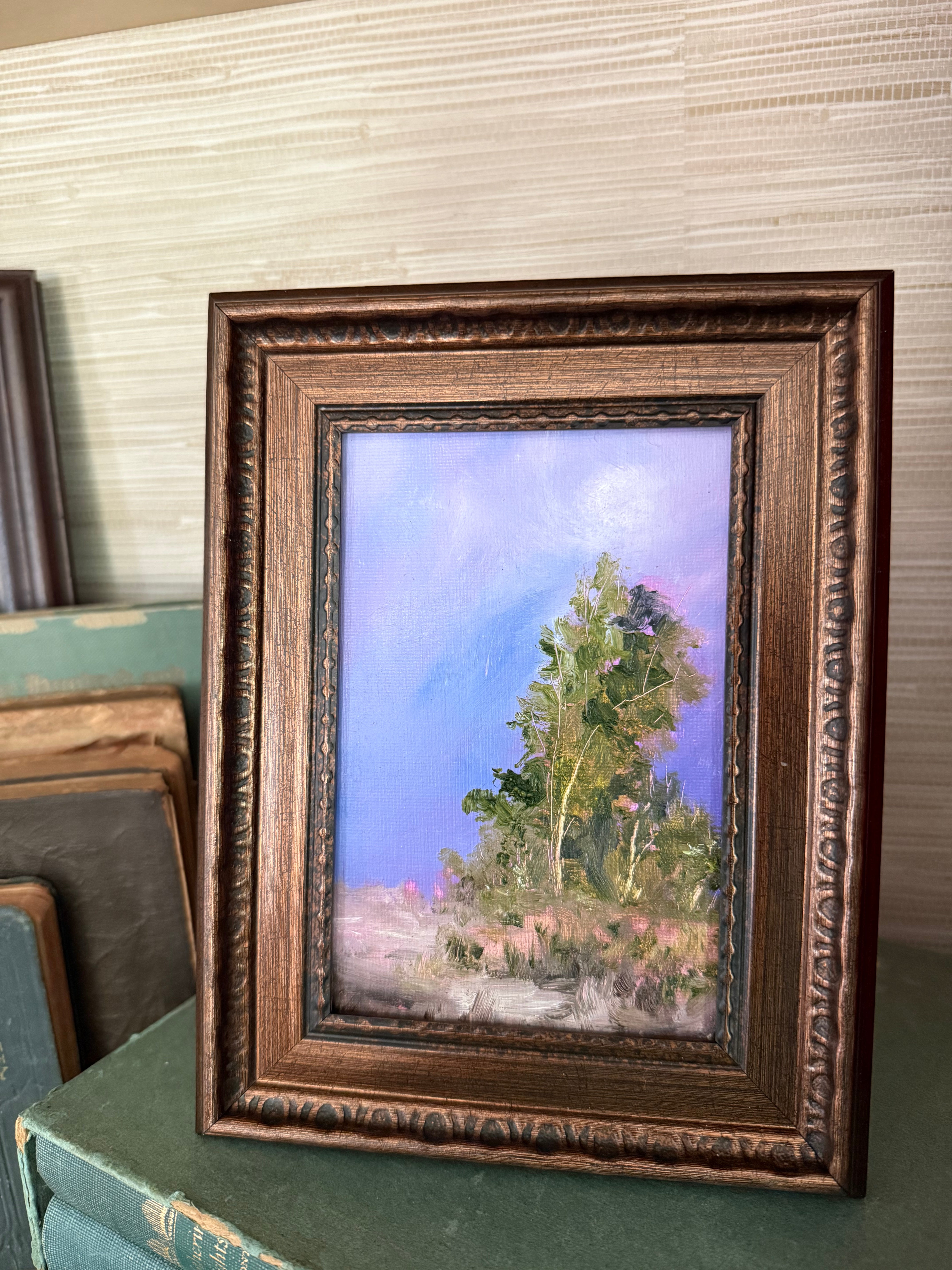 The Evening's Last Light