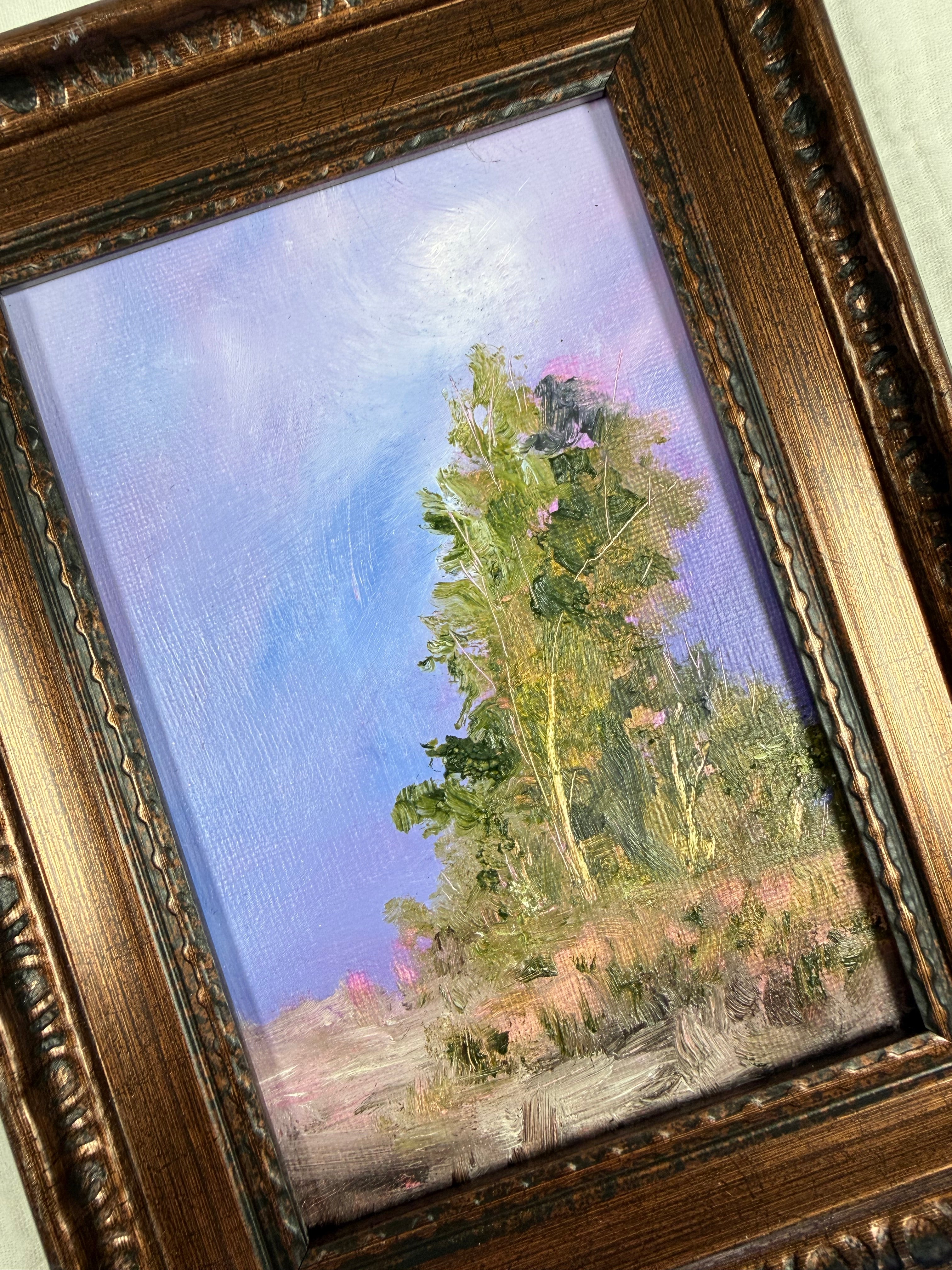 The Evening's Last Light