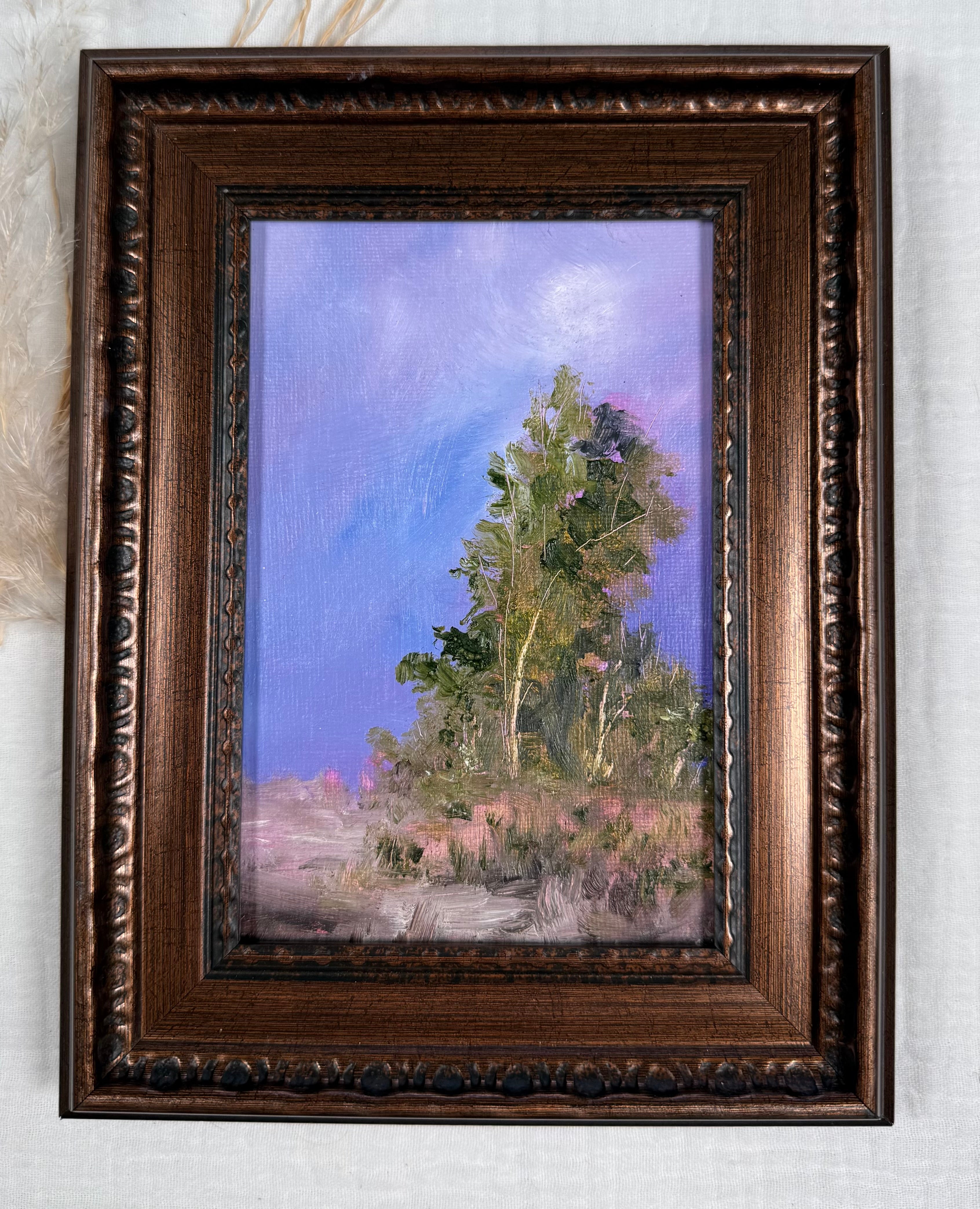 The Evening's Last Light